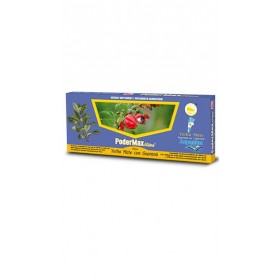 YERBA MATE CON GUARANÁ AMPOLLETAS INGERIBLES 20ml x10