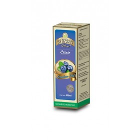 ARÁNDANO AZUL FRUTO ELIXIR 500ml