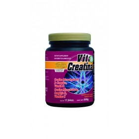 CREATINA, COMPLEJO B Y VITAMINA C POLVO 500g