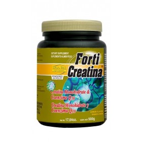 CREATINA CON COENZIMA Q10 POLVO 500g